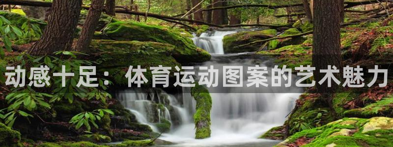 米兰体育官网下载：动感十足：体育运动图案的艺术魅力