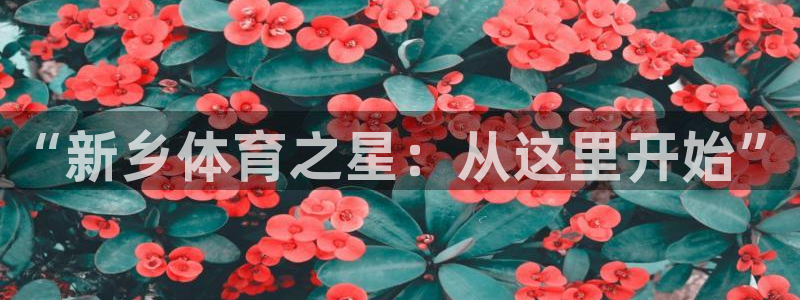 米兰体育官网下载招商电话是多少啊：“新乡体育之星：从