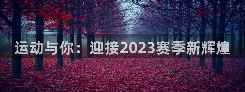 米兰体育官网下载平台注册流程图：运动与你：迎接202