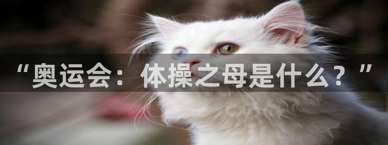 米兰体育官网下载招商电话是多少：“奥运会：体操之母是