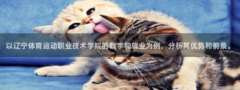 米兰体育官网下载平台注册流程视频：以辽宁体育运动职业