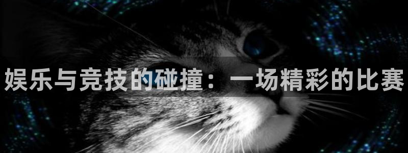 米兰体育官网下载平台注册要钱吗安全吗：娱乐与竞技的碰