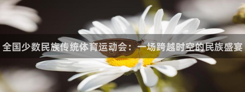 米兰体育官网下载是干嘛的公司