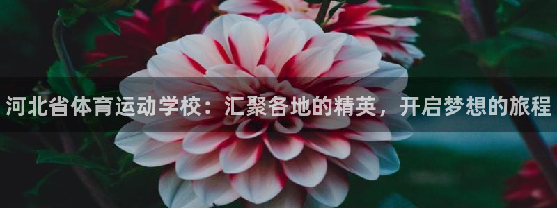 米兰体育官方正版app代理：河北省体育运动学校：汇聚