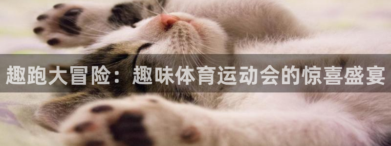 米兰体育官方正版app开户