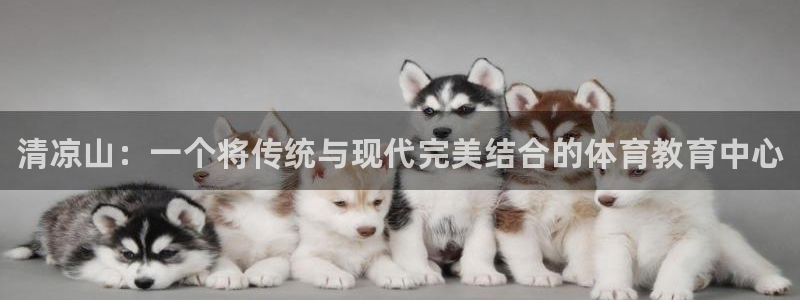 米兰体育官方正版app科技：清凉山：一个将传统与现代完美结合