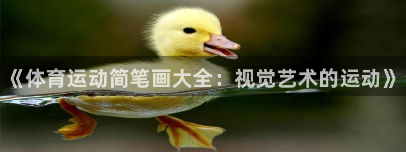 米兰体育官网下载平台是正规平台吗安全吗：《体育运动简笔画大全