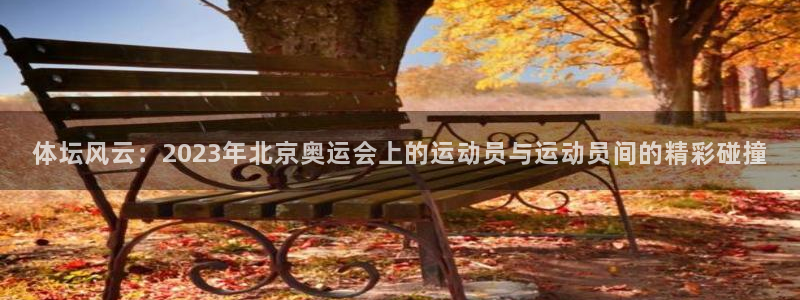 米兰体育官网下载：体坛风云：2023年北京奥运会上的运动员与