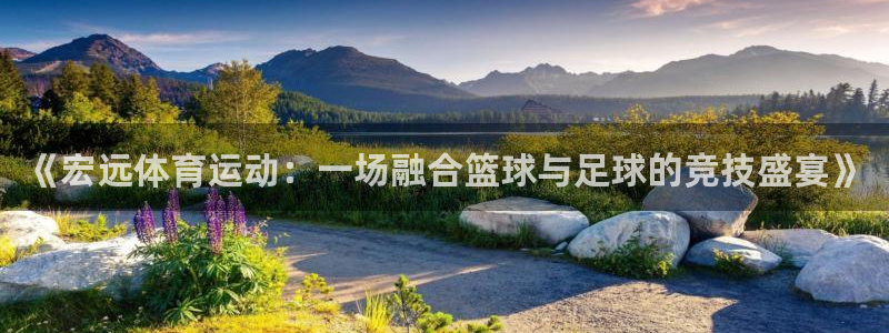 米兰体育官方正版app开户：《宏远体育运动：一场融合