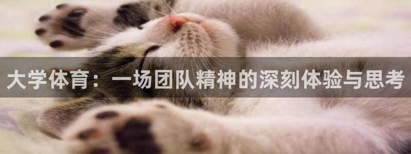 米兰体育官网下载平台