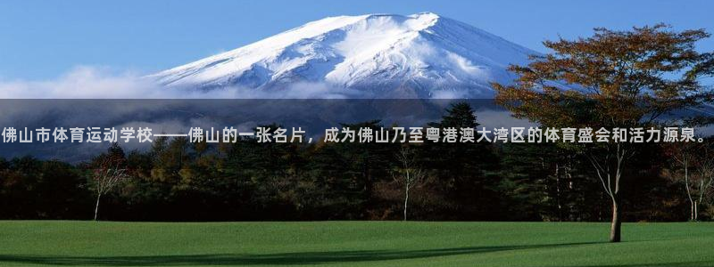 米兰体育官方正版app官方