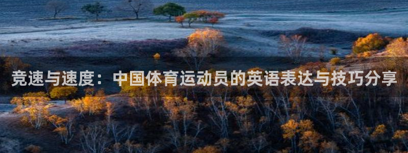 米兰体育官网下载平台注册要钱吗是真的吗：竞速与速度：中国体育