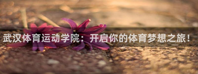 米兰体育官网下载招商电话号码查询