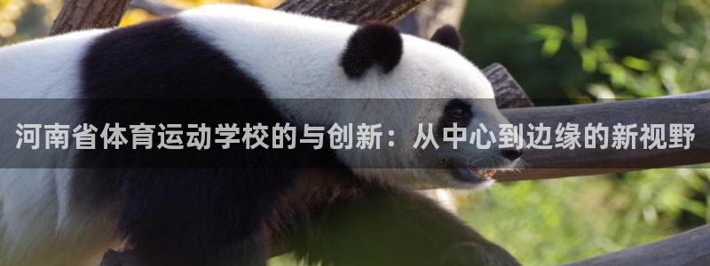 米兰体育官方正版app娱乐平台：河南省体育运动学校的与创新：