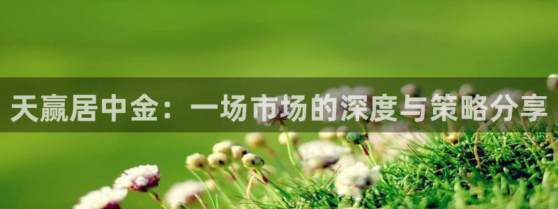 河豚nba直播官网：天赢居中金：一场市场的深度与策略分享