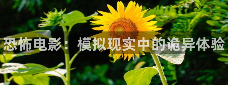 河豚的：恐怖电影：模拟现实中的诡异体验