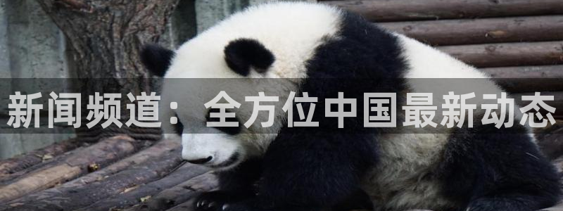 河豚体育在线直播：新闻频道：全方位中国最新动态