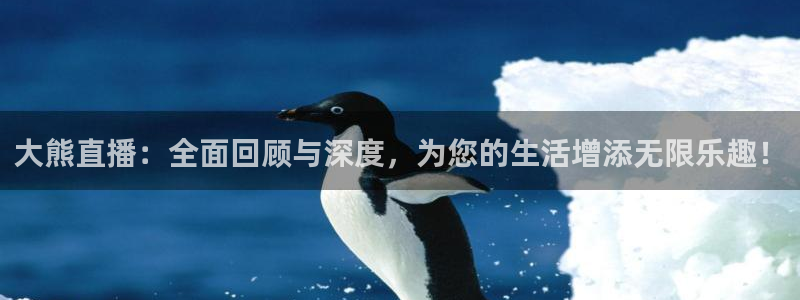 河豚在线直播nba：大熊直播：全面回顾与深度，为您的生活增添无限乐趣！
