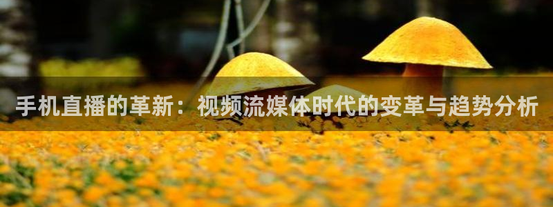 河豚体育直播官网：手机直播的革新：视频流媒体时代的变革与趋势分析