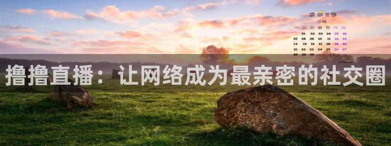 河豚直播nba：撸撸直播：让网络成为最亲密的社交圈