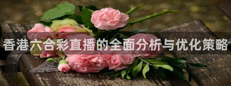 河豚体育直播官网：香港六合彩直播的全面分析与优化策略