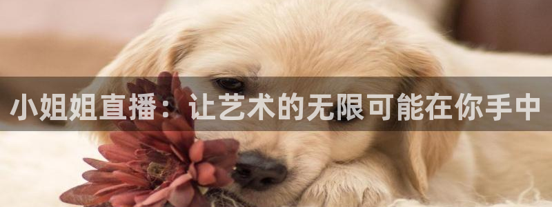 河豚篮球直播：小姐姐直播：让艺术的无限可能在你手中