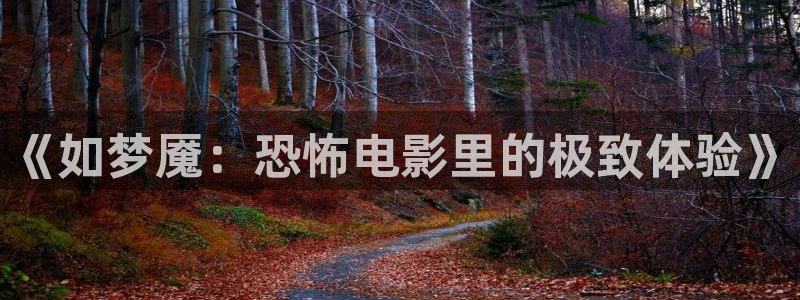 河豚的：《如梦魇：恐怖电影里的极致体验》