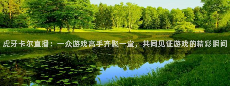 河豚体育直播免费：虎牙卡尔直播：一众游戏高手齐聚一堂，共同见证游戏的精彩瞬间