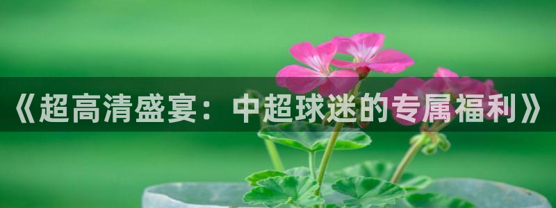 河豚面：《超高清盛宴：中超球迷的专属福利》