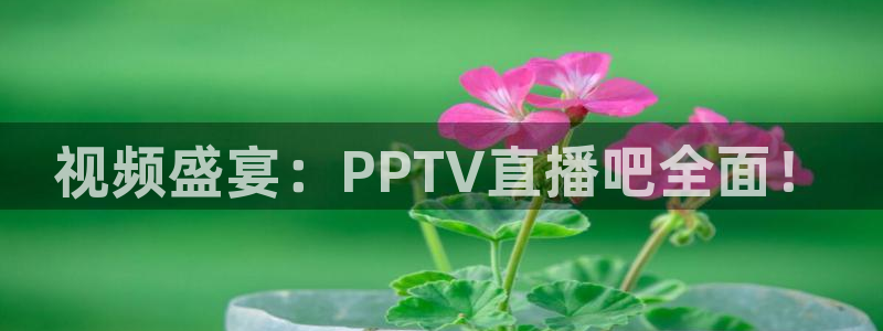 河豚tv直播：视频盛宴：PPTV直播吧全面！