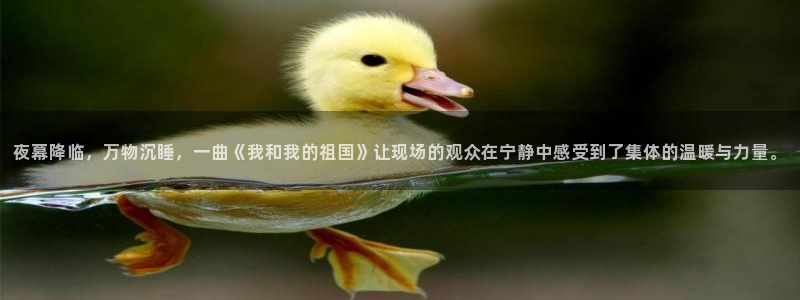 河豚tv直播：夜幕降临，万物沉睡，一曲《我和我的祖国》让现场的观众在宁静中感受到了集体的温暖与力量。