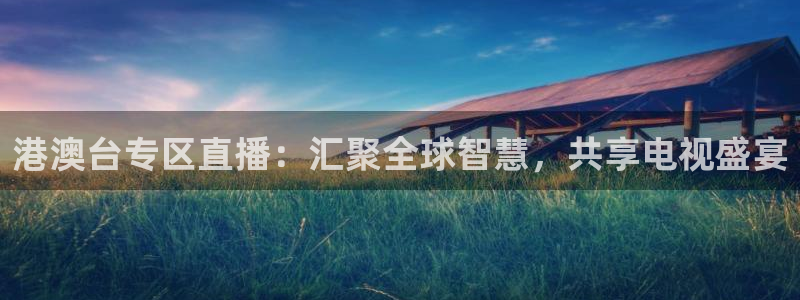 河豚足球比赛直播：港澳台专区直播：汇聚全球智慧，共享电视盛宴