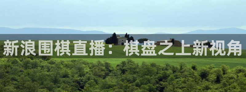 河豚直播体育app下载：新浪围棋直播：棋盘之上新视角