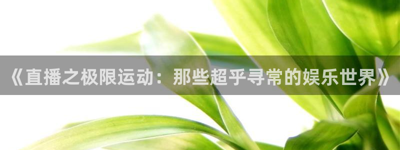 河豚足球比赛直播：《直播之极限运动：那些超乎寻常的娱乐世界》