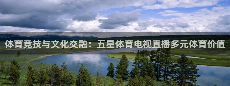 河豚免费nba在线直播：体育竞技与文化交融：五星体育电视直播多元体育价值